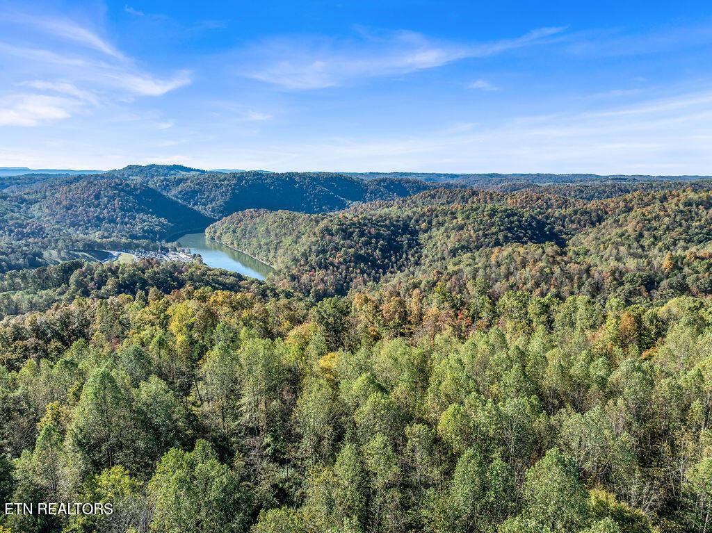 Friendship Hollow Rd, Speedwell, TN
