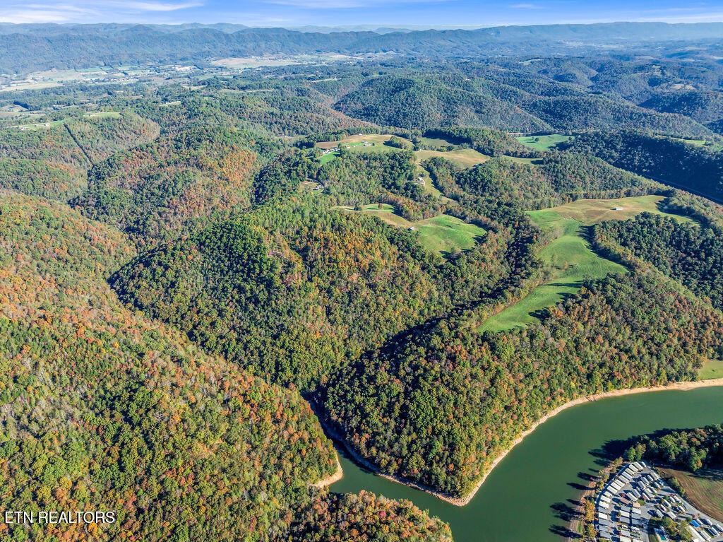 Norris Lake Real Estate - Image# 35