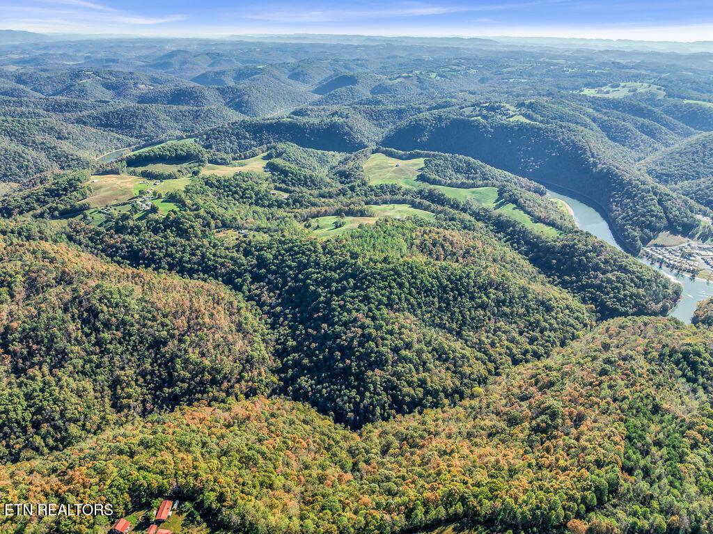 Norris Lake Real Estate - Image# 40