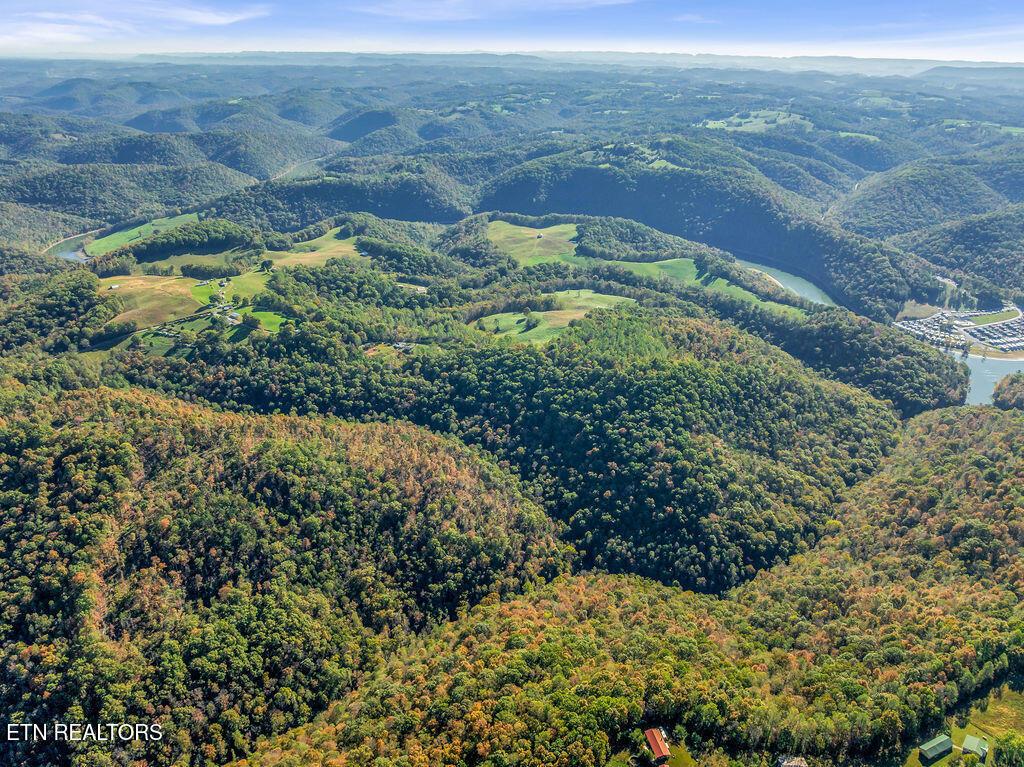 Norris Lake Real Estate - Image# 41