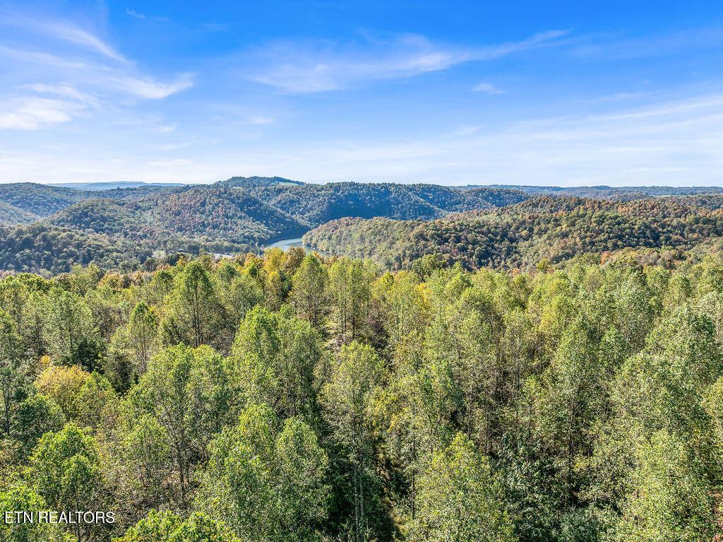 Norris Lake Real Estate - Image# 9