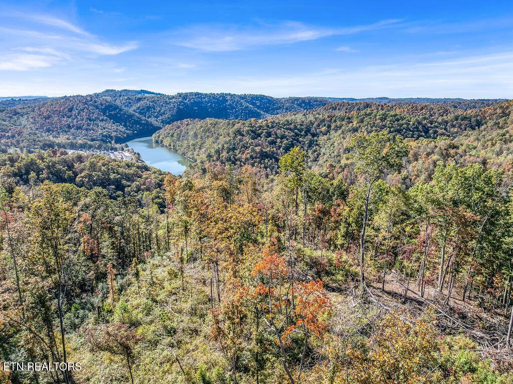 Norris Lake Real Estate - Image# 5