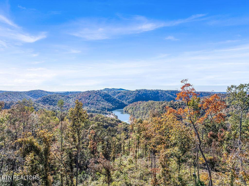 Norris Lake Real Estate - Image# 3