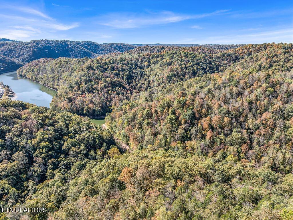 Norris Lake Real Estate - Image# 34