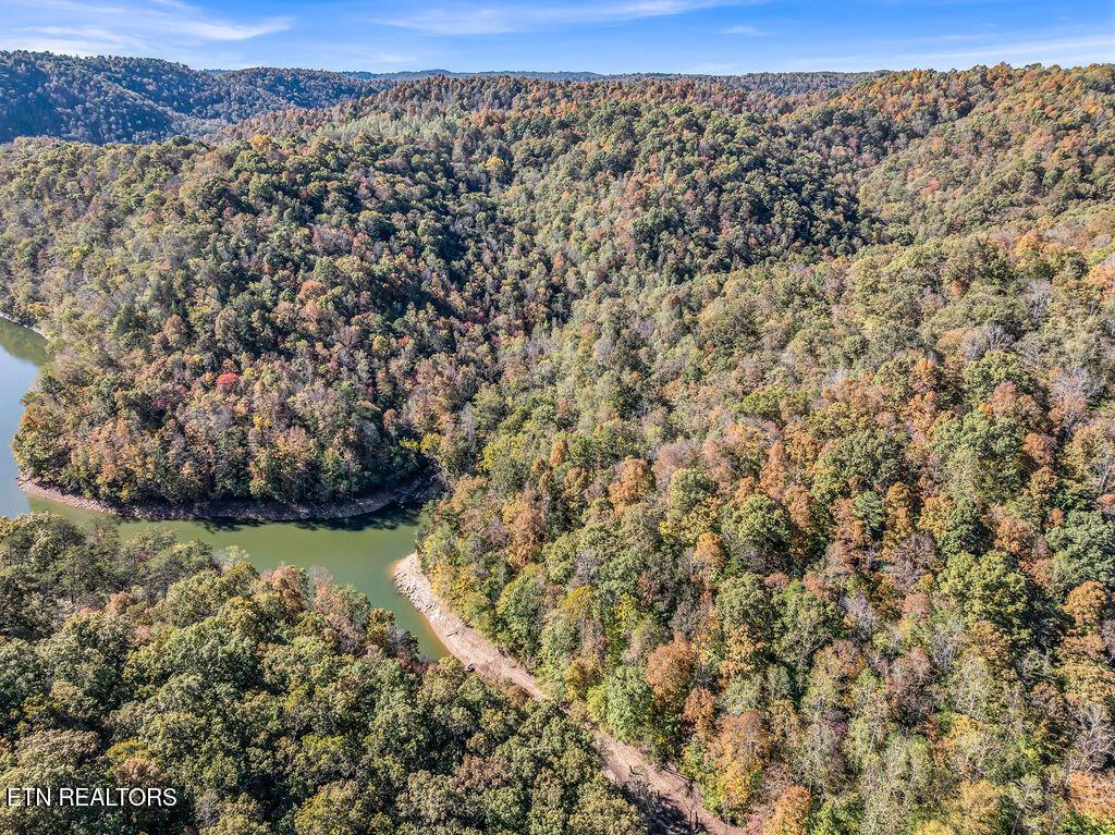 Norris Lake Real Estate - Image# 32