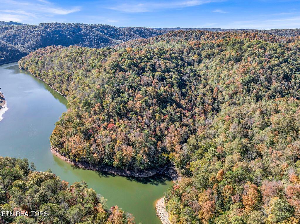 Norris Lake Real Estate - Image# 31