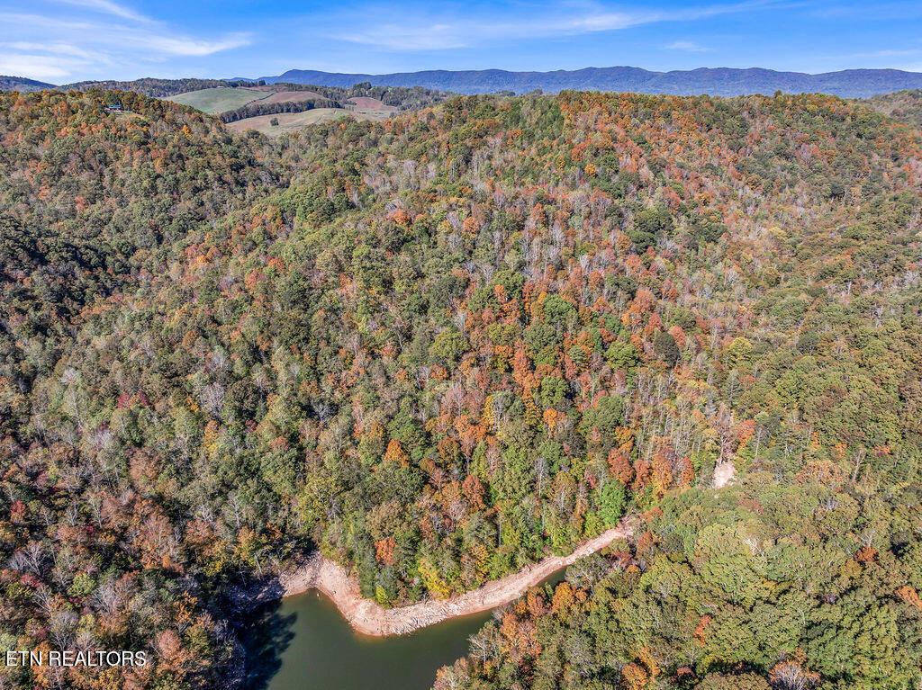 Norris Lake Real Estate - Image# 33