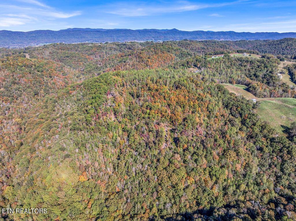 Norris Lake Real Estate - Image# 43
