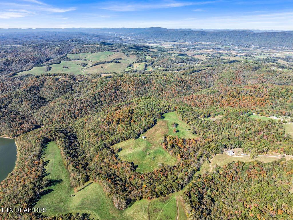 Norris Lake Real Estate - Image# 44