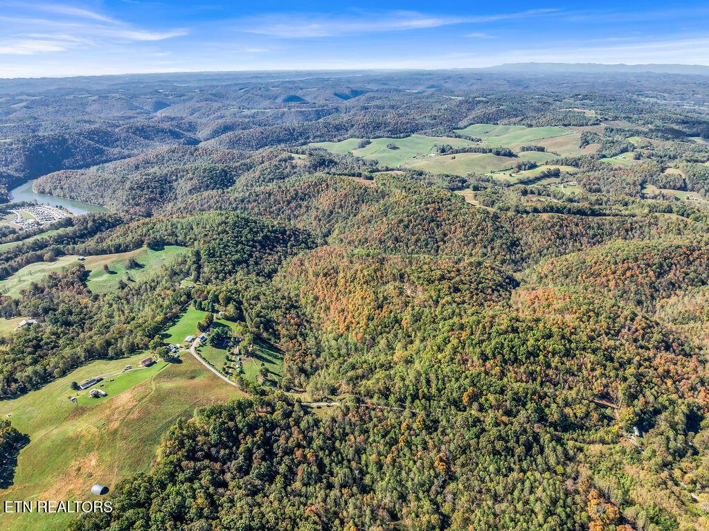 Norris Lake Real Estate - Image# 45