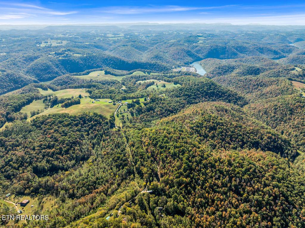 Norris Lake Real Estate - Image# 46