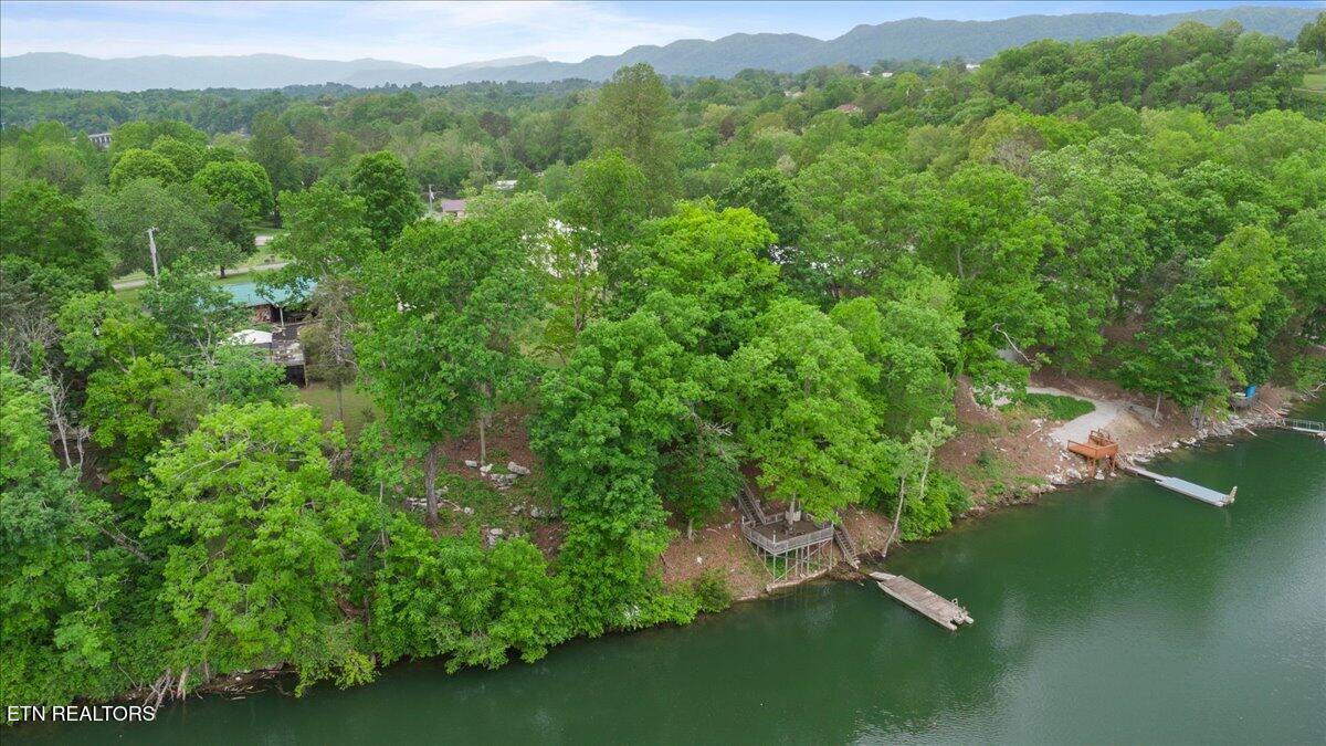 446 Oak Run Rd, Lafollette, TN - Norris Lake Real Estate - Image# 6