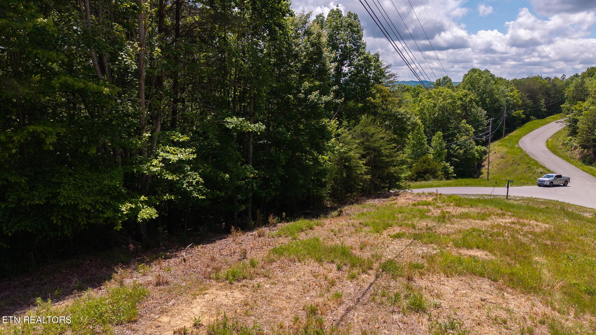 Norris Lake Real Estate - Image# 17