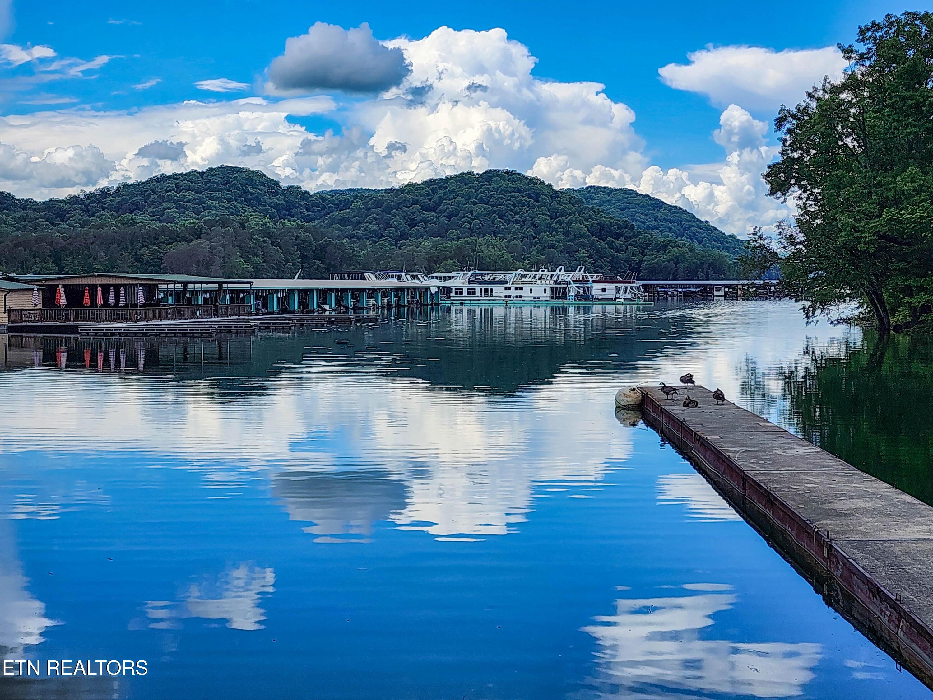 Norris Lake Real Estate - Image# 9