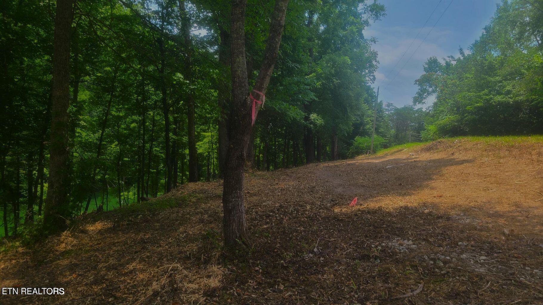 Norris Lake Real Estate - Image# 4
