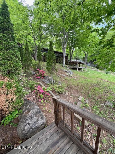 339 Flat Hollow Marina Rd, Speedwell, TN - Norris Lake Real Estate - Image# 37