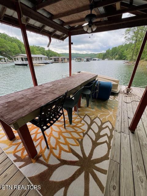 339 Flat Hollow Marina Rd, Speedwell, TN - Norris Lake Real Estate - Image# 45
