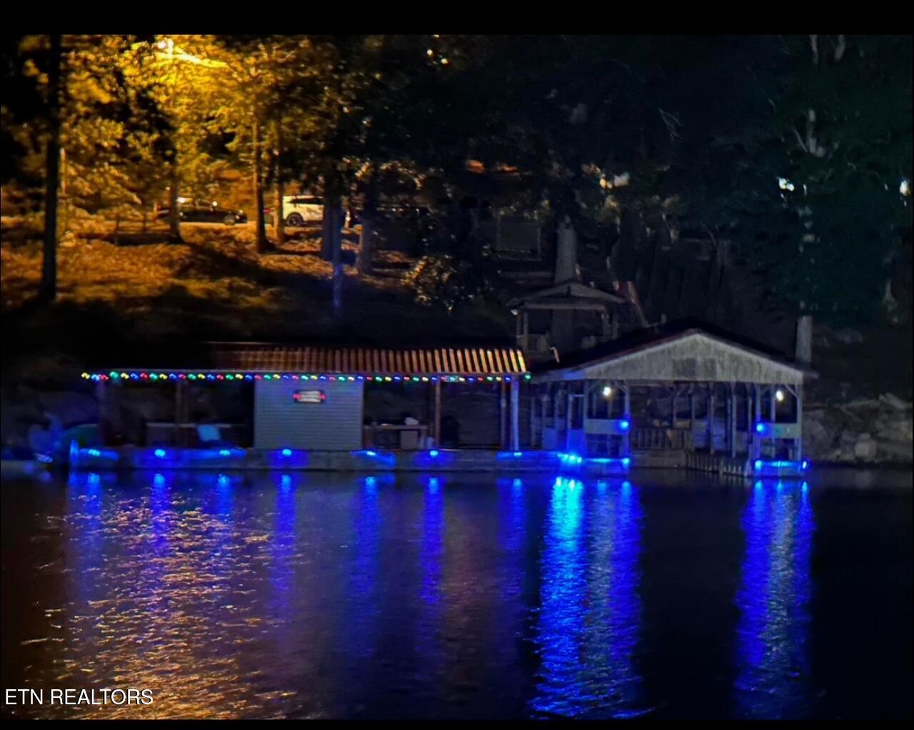339 Flat Hollow Marina Rd, Speedwell, TN - Norris Lake Real Estate - Image# 47