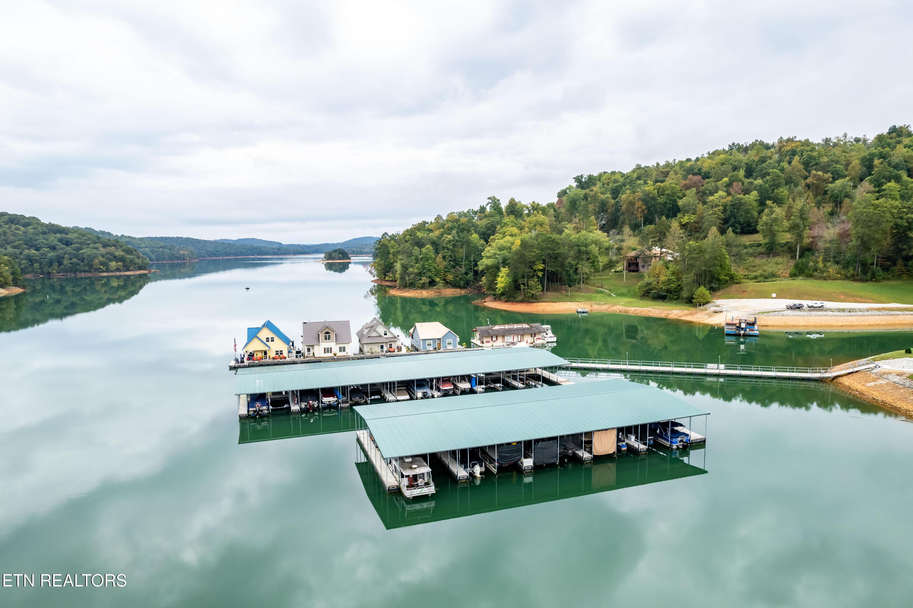 Norris Lake Real Estate - Image# 10