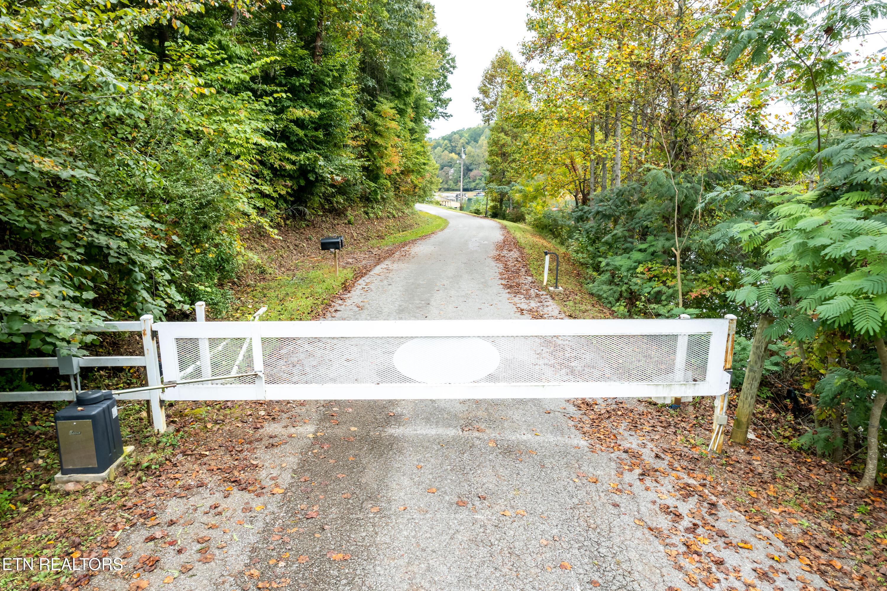 Norris Lake Real Estate - Image# 11