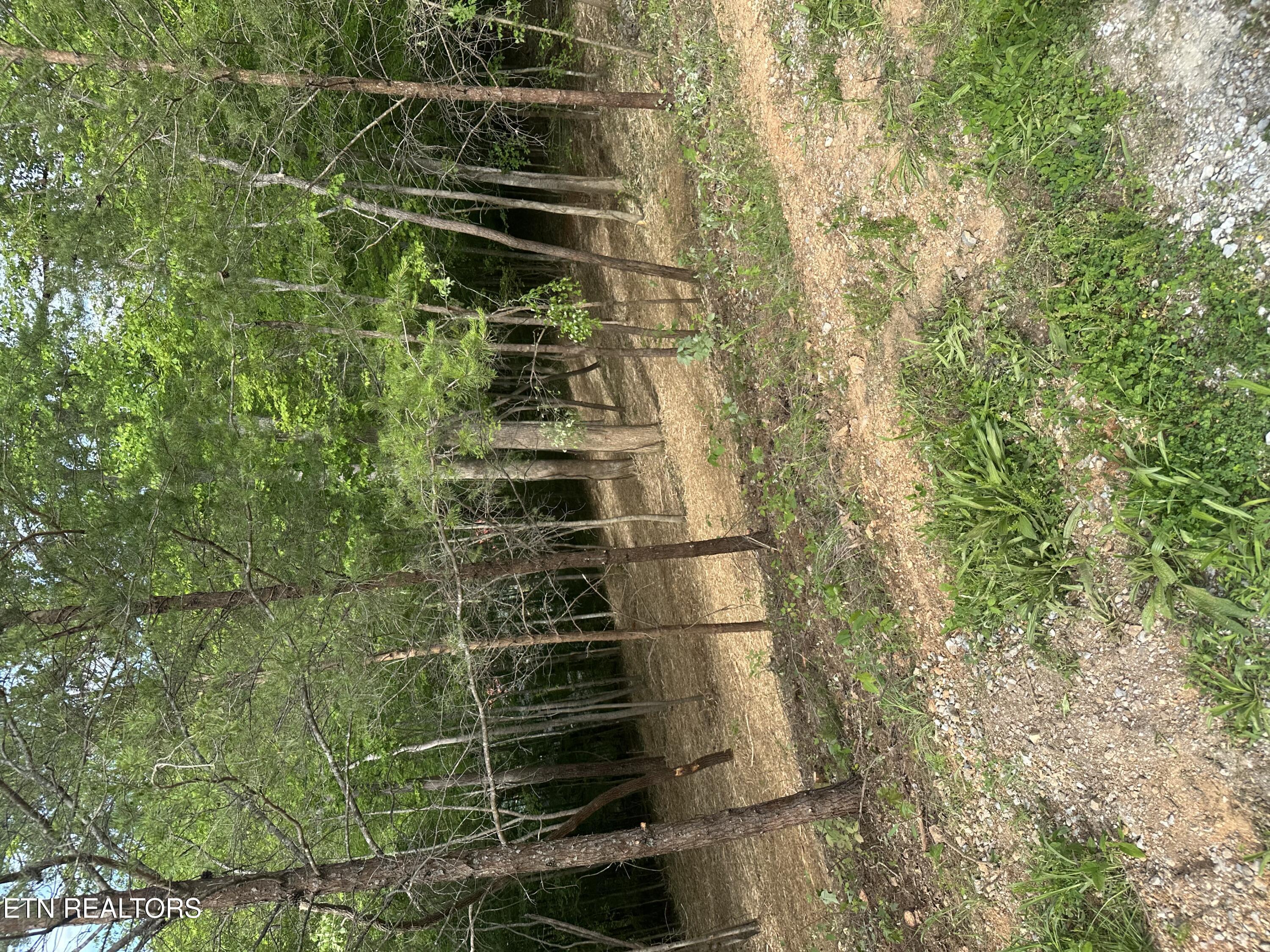 Norris Lake Real Estate - Image# 16