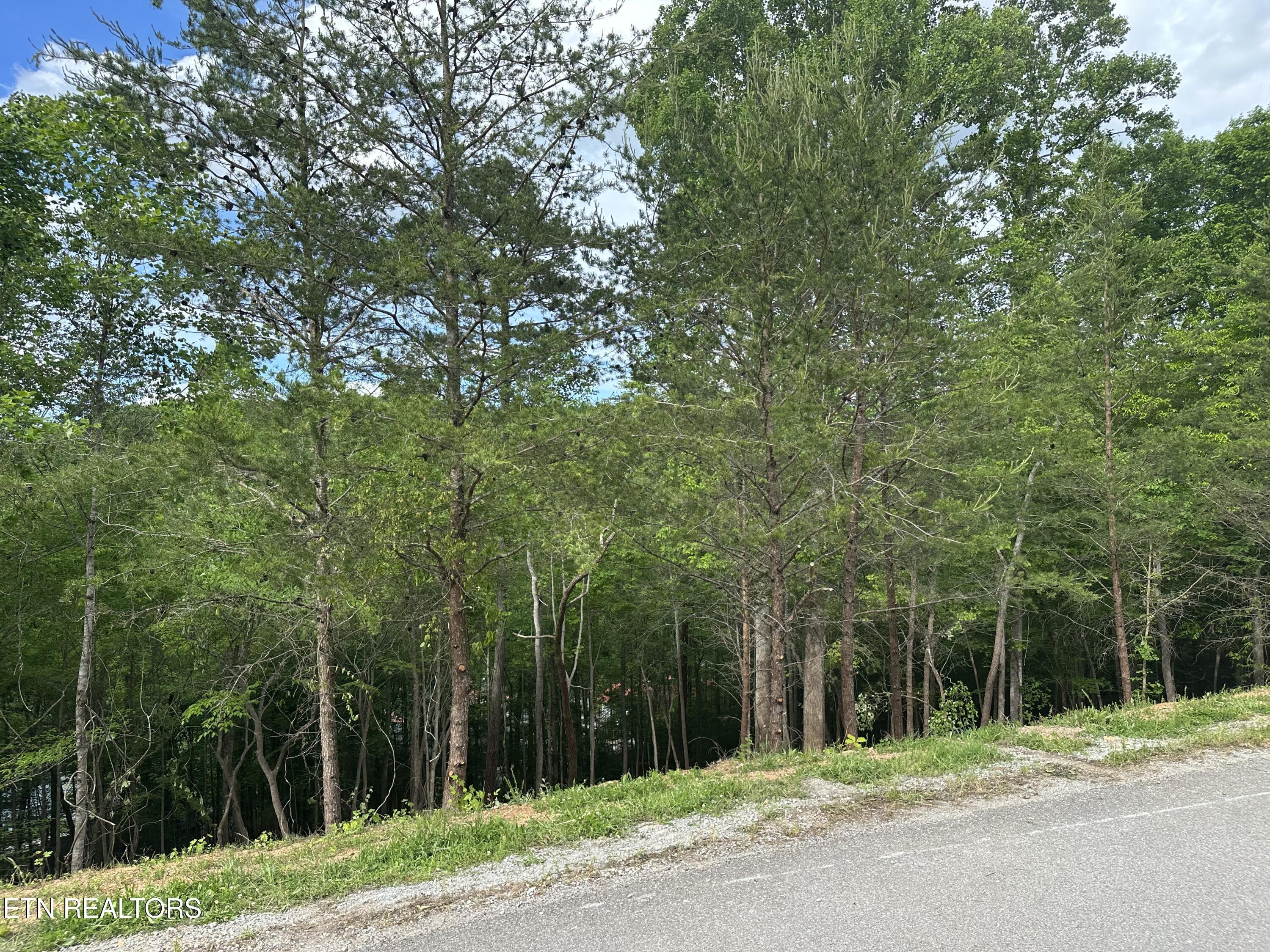 Norris Lake Real Estate - Image# 20