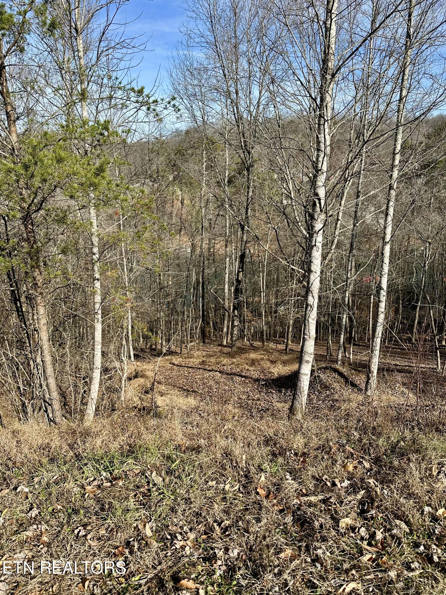 Norris Lake Real Estate - Image# 23