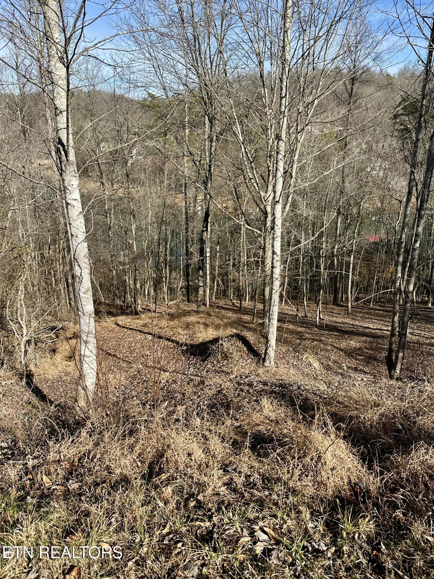 Norris Lake Real Estate - Image# 24