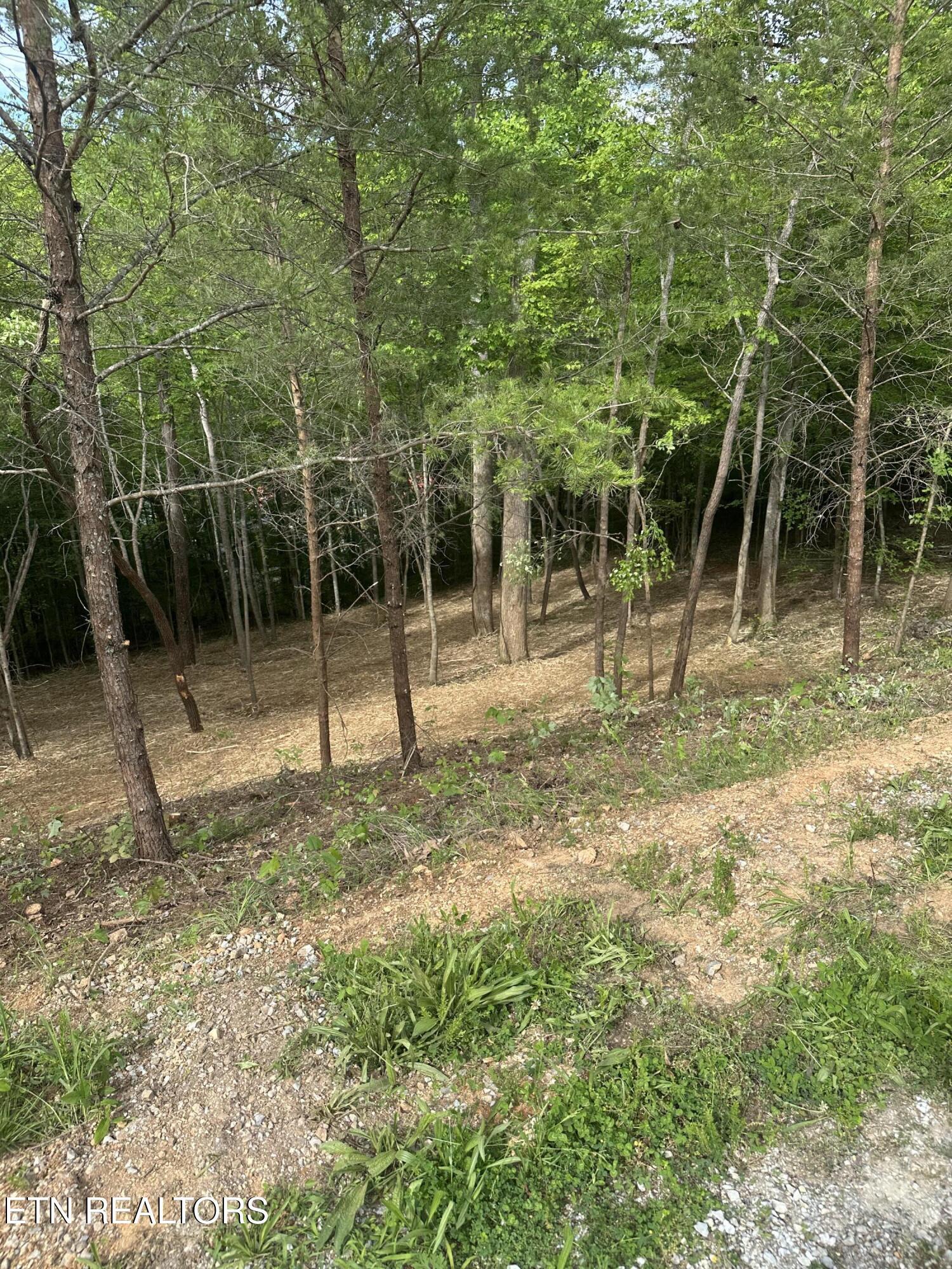 Norris Lake Real Estate - Image# 26