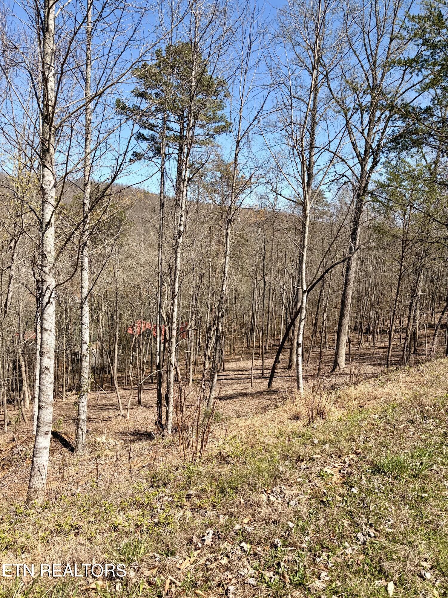 Norris Lake Real Estate - Image# 8