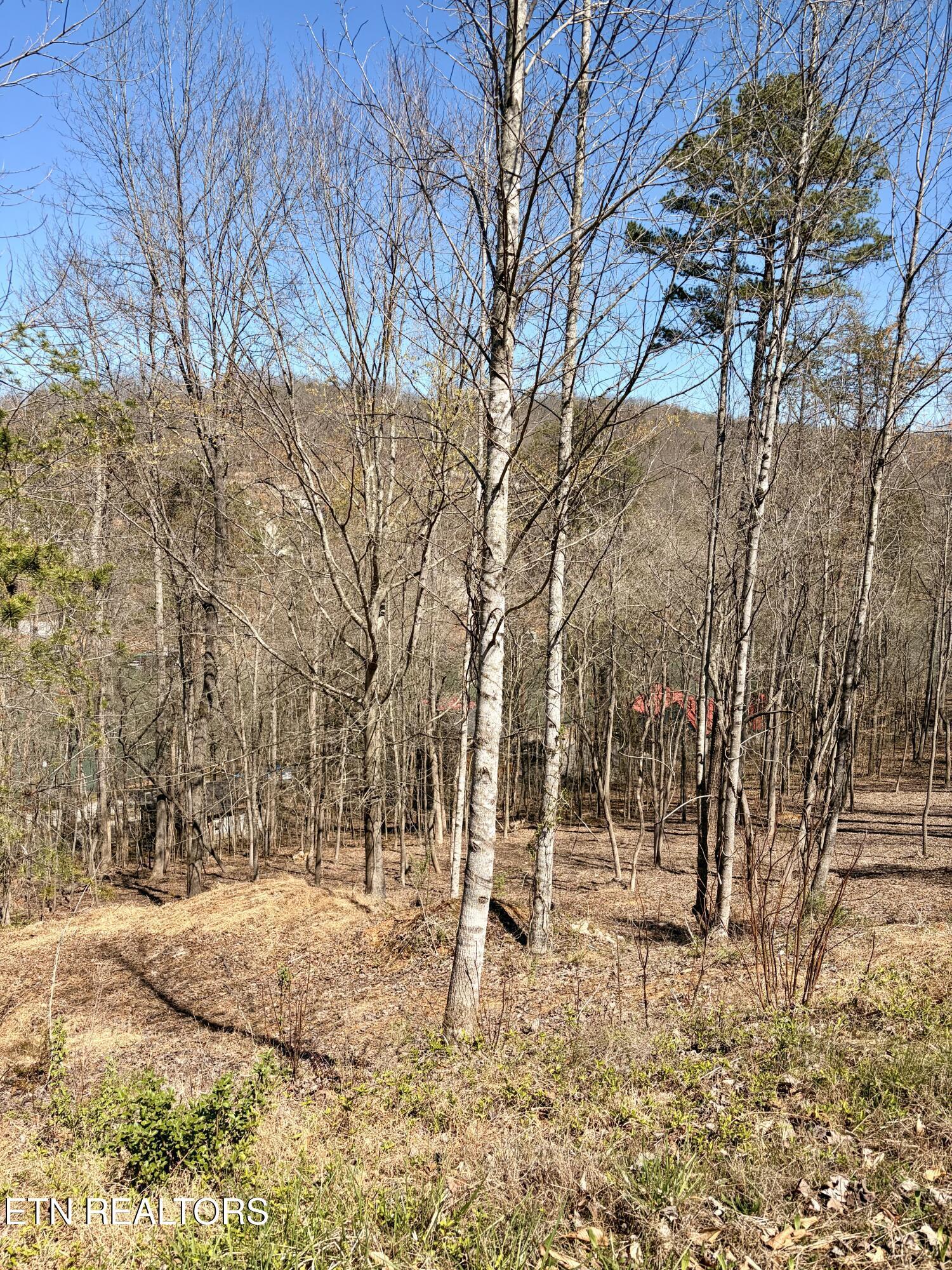 Norris Lake Real Estate - Image# 30