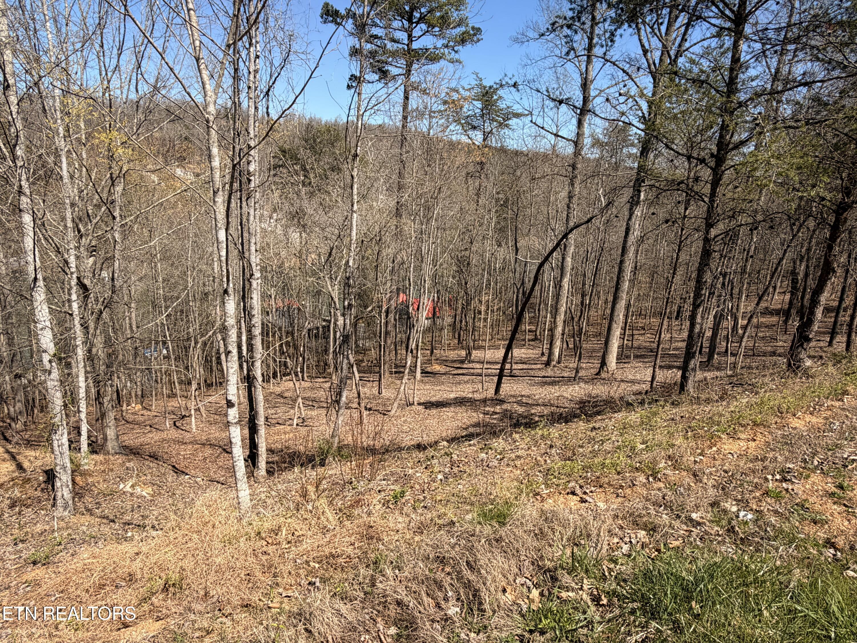 Norris Lake Real Estate - Image# 31