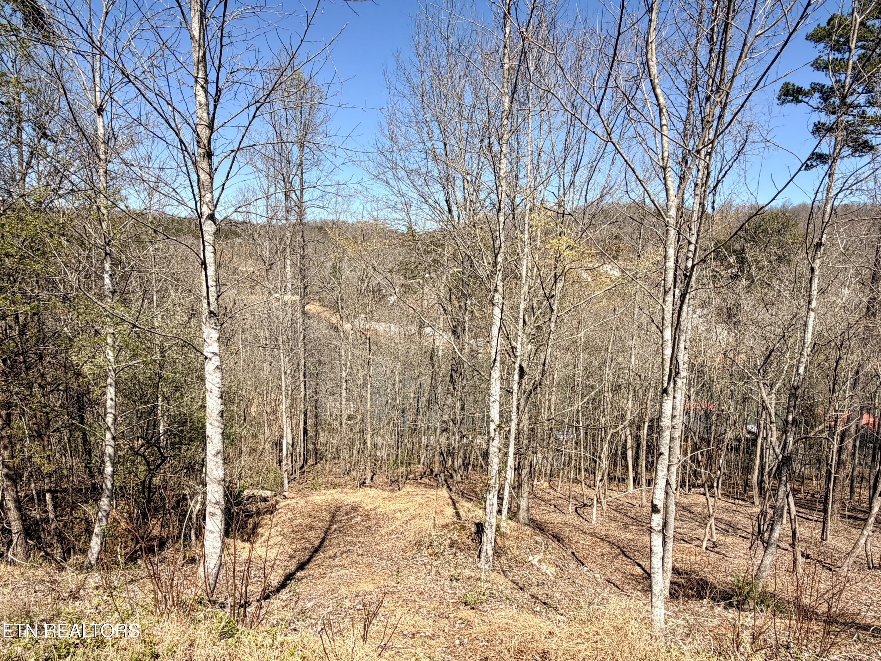 Norris Lake Real Estate - Image# 32