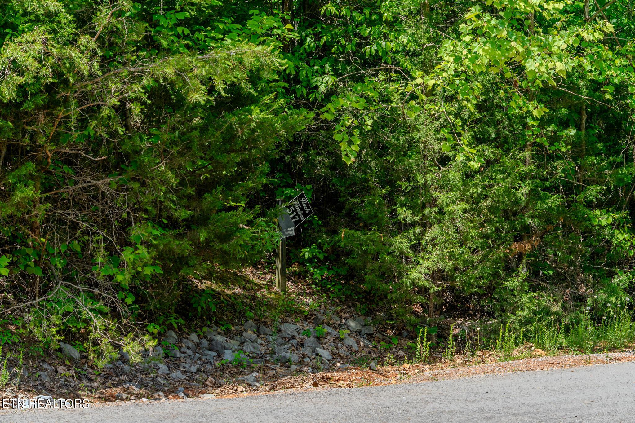 Norris Lake Real Estate - Image# 2