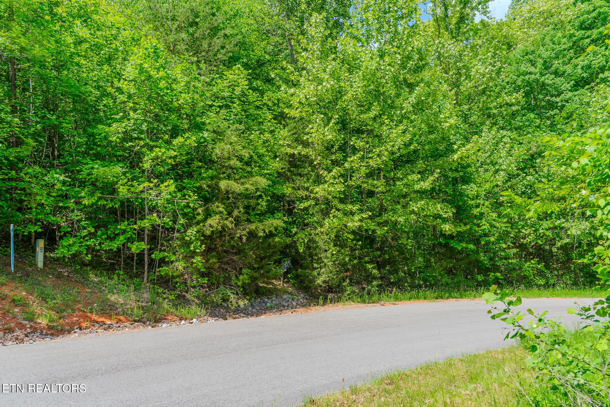 Norris Lake Real Estate - Image# 3
