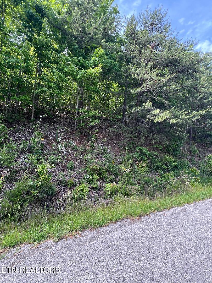 Lt 225 Clinch View Rd, New Tazewell, TN