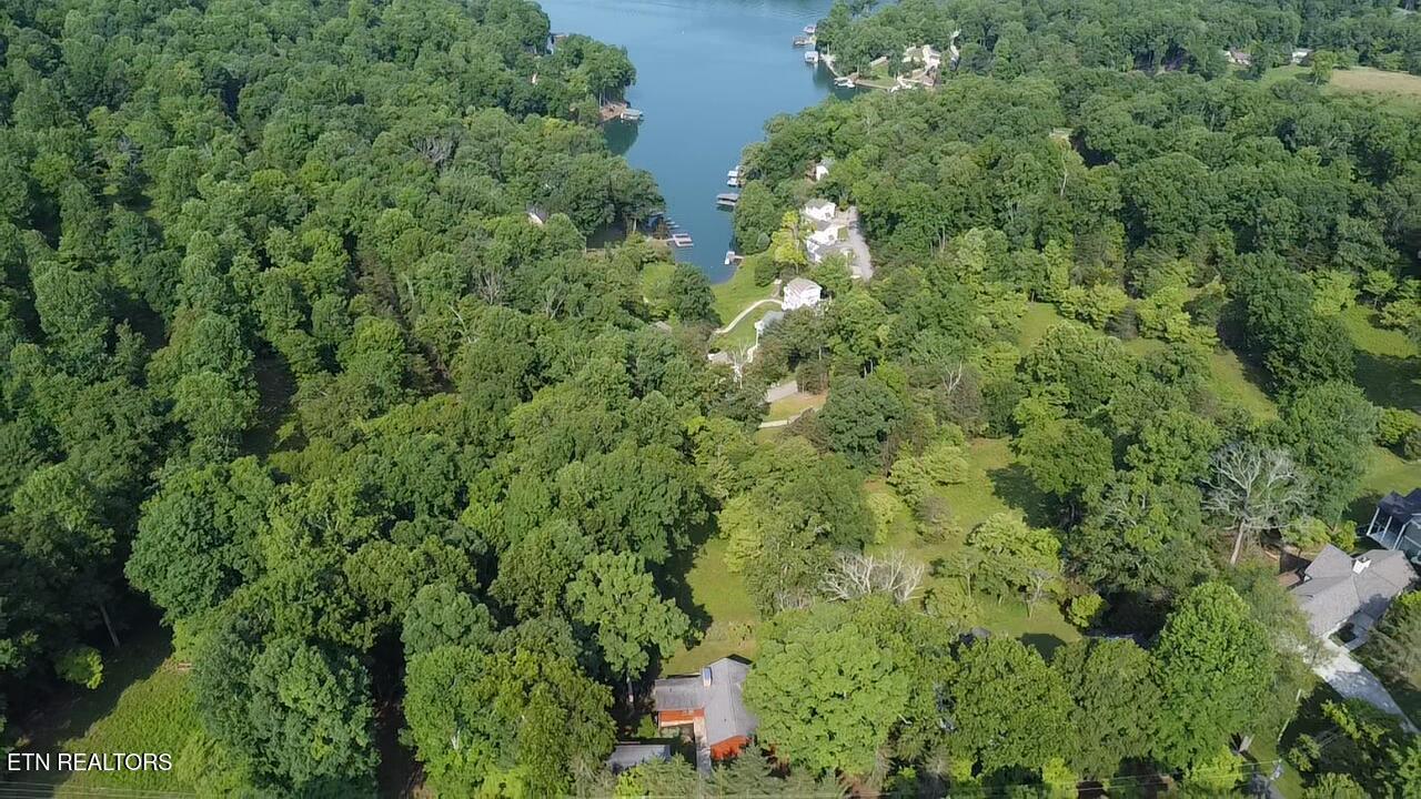 1186 Deerfield Way, Lafollette, TN - Norris Lake Real Estate - Image# 6
