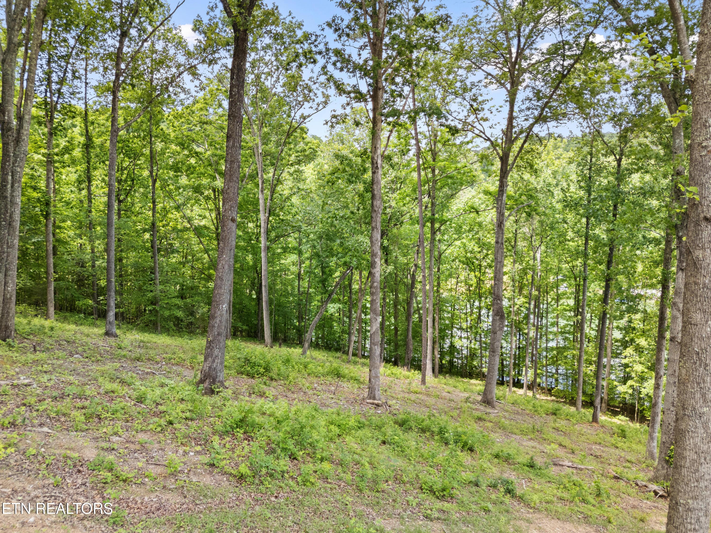 Norris Lake Real Estate - Image# 13