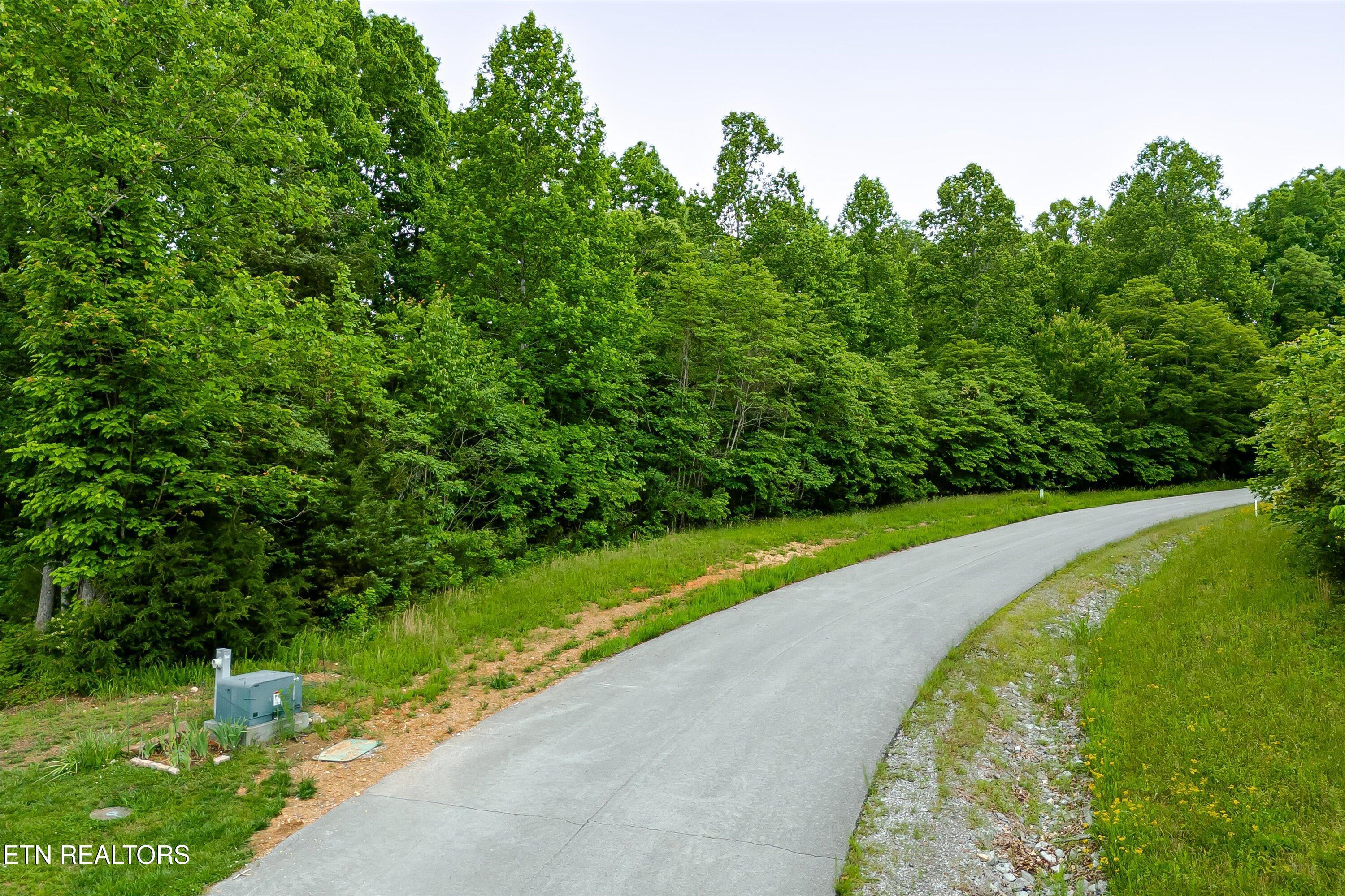 Norris Lake Real Estate - Image# 2