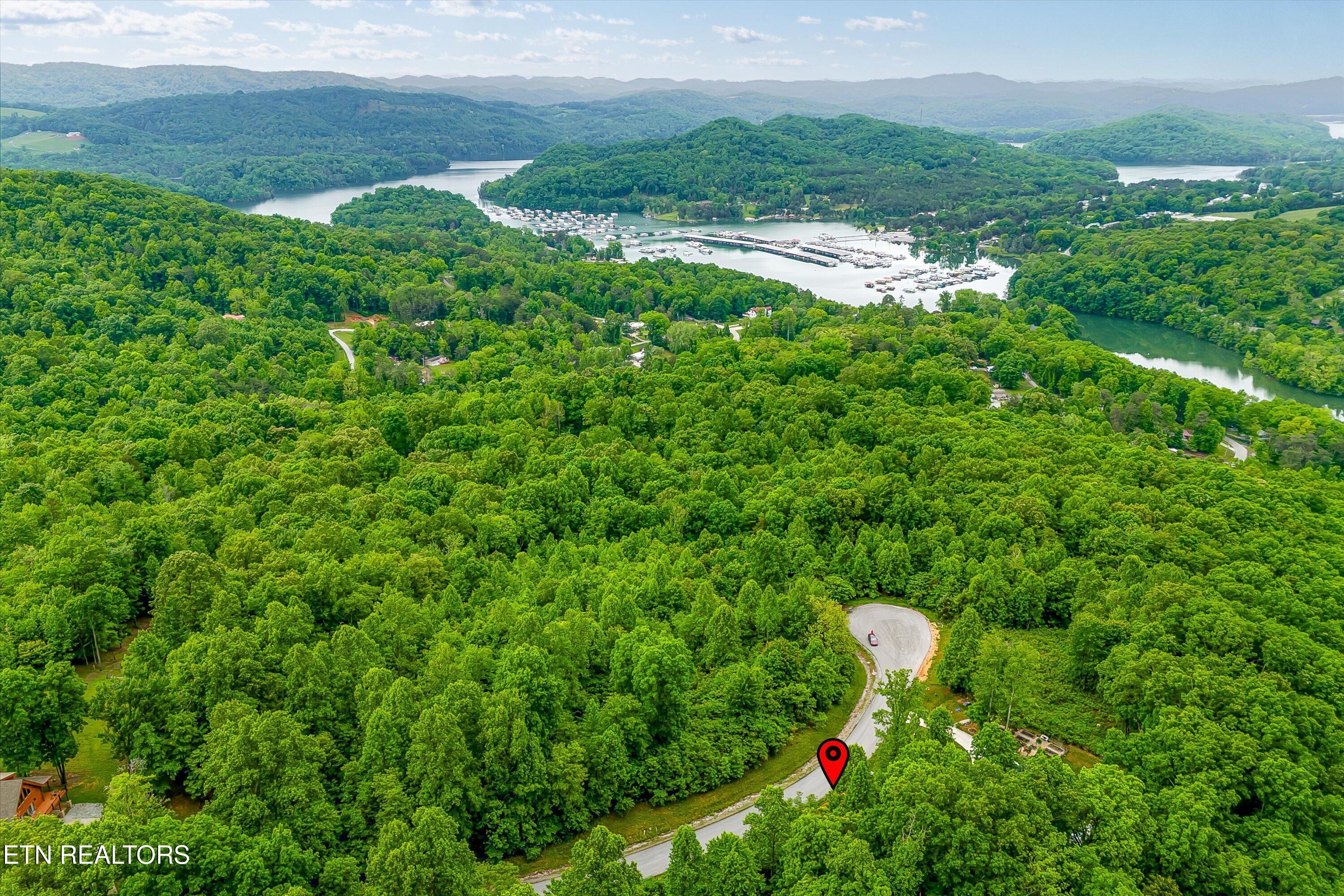 Norris Lake Real Estate - Image# 4
