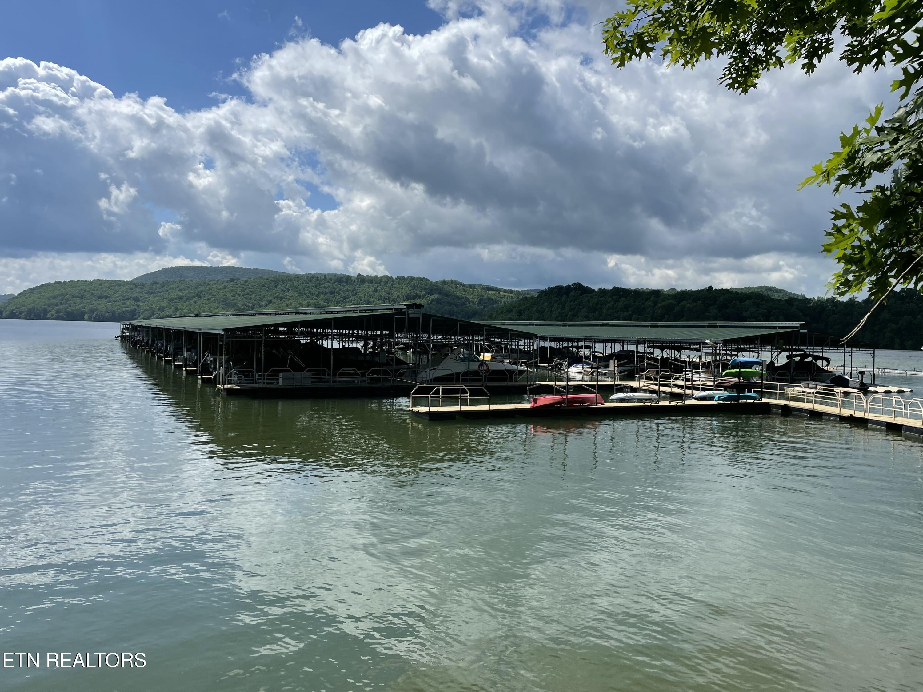 Norris Lake Real Estate - Image# 6