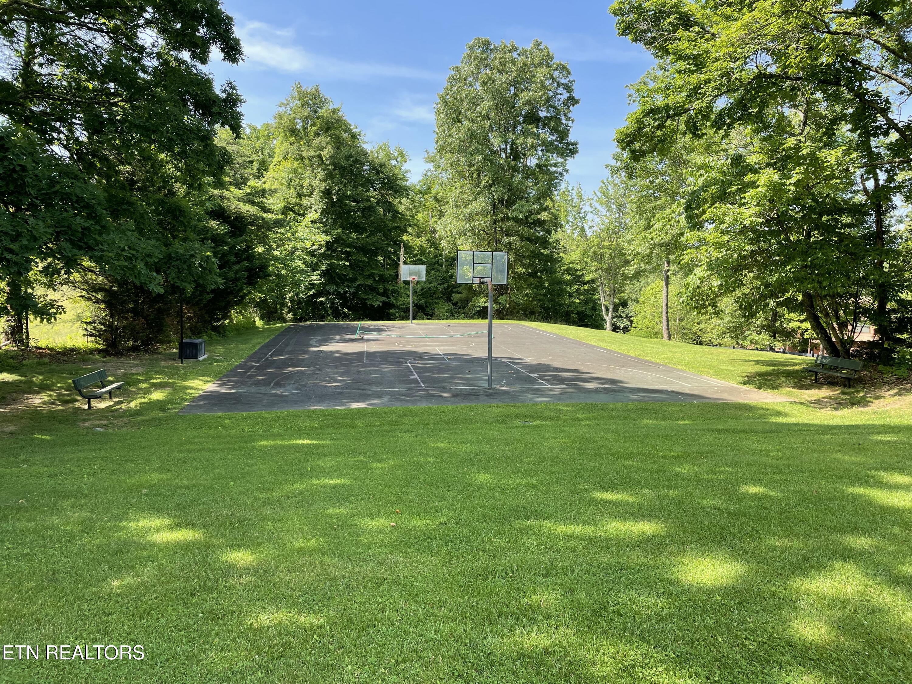 Norris Lake Real Estate - Image# 14