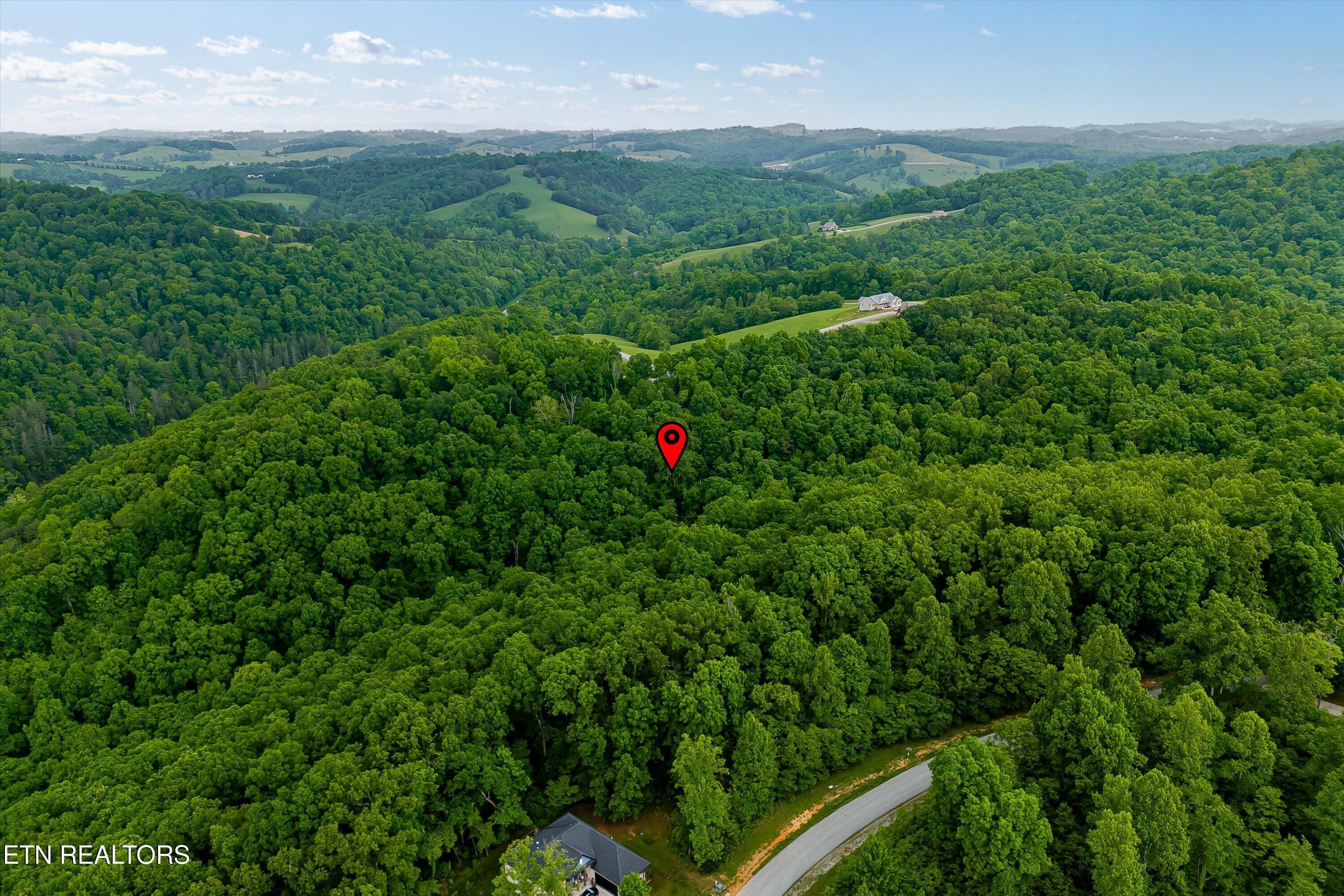 Norris Lake Real Estate - Image# 19