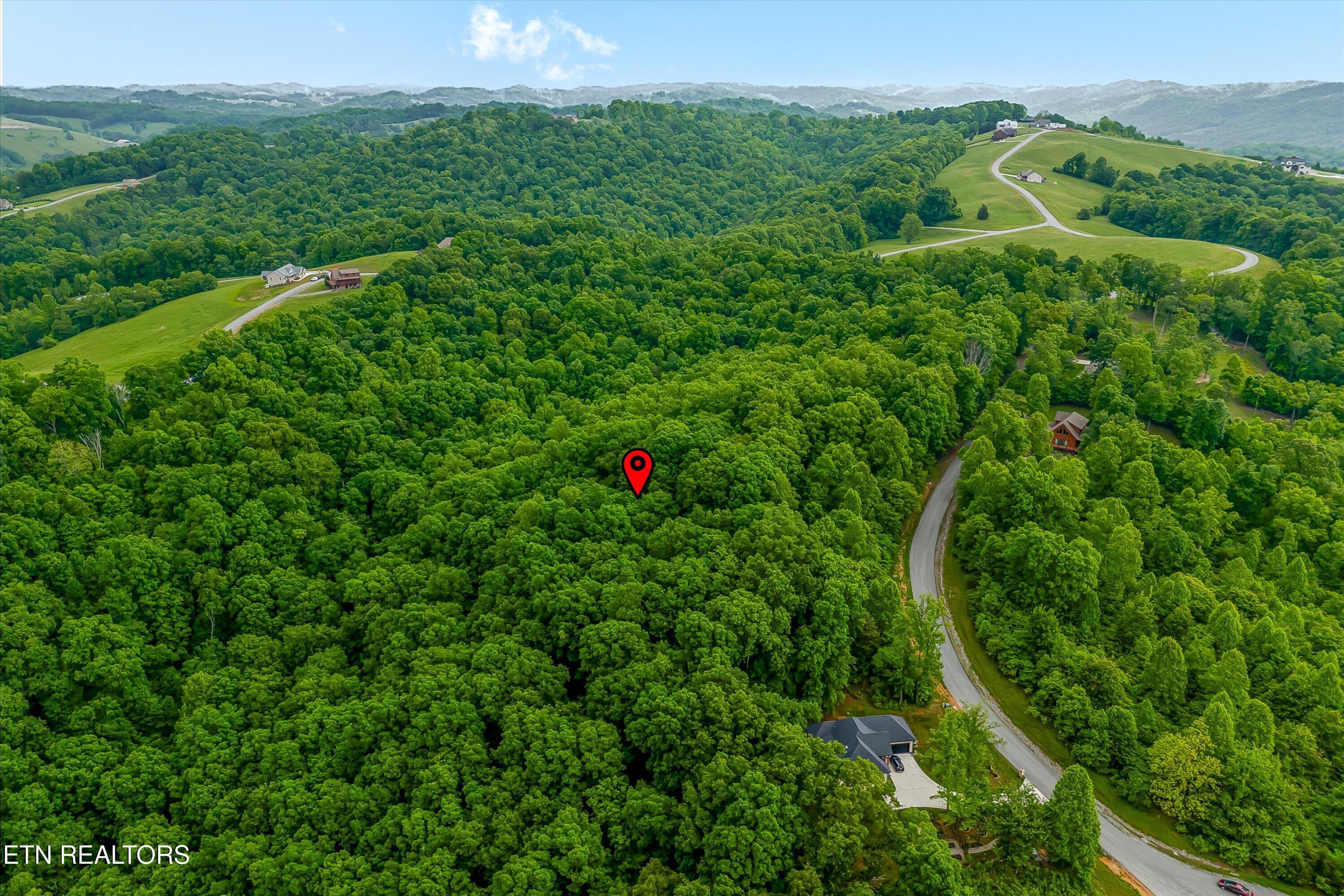 Norris Lake Real Estate - Image# 20