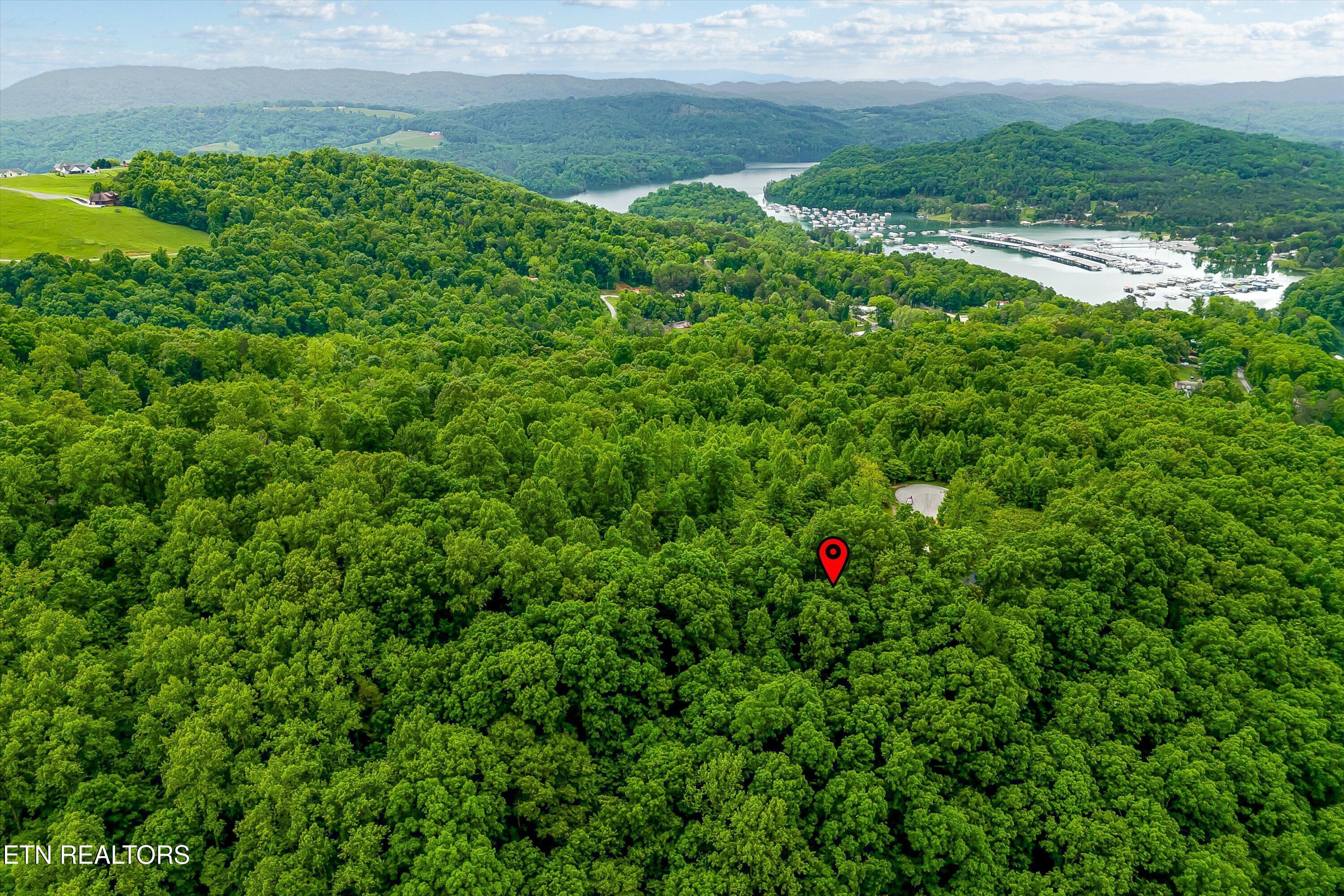 Norris Lake Real Estate - Image# 23