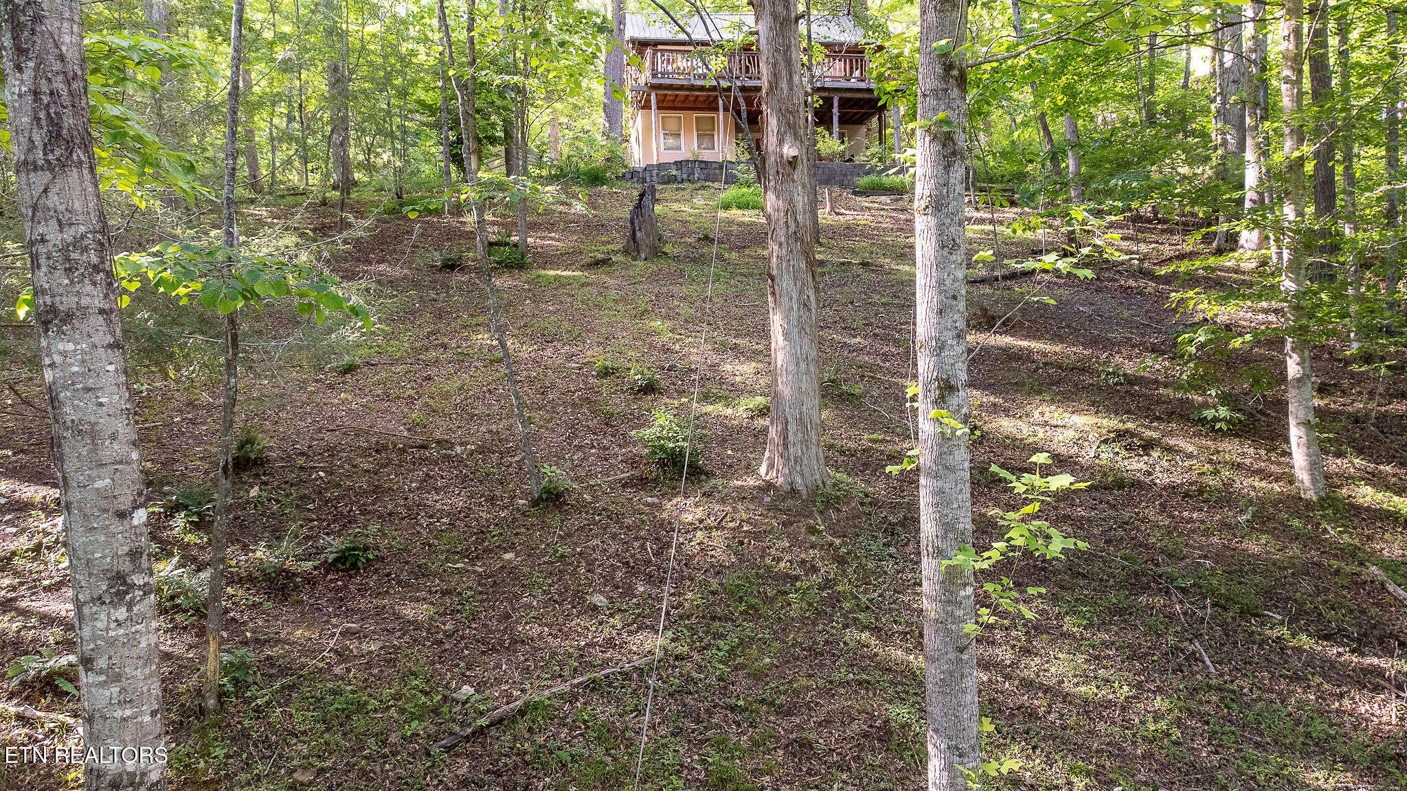 258 Marina Lane, Lafollette, TN - Norris Lake Real Estate - Image# 31