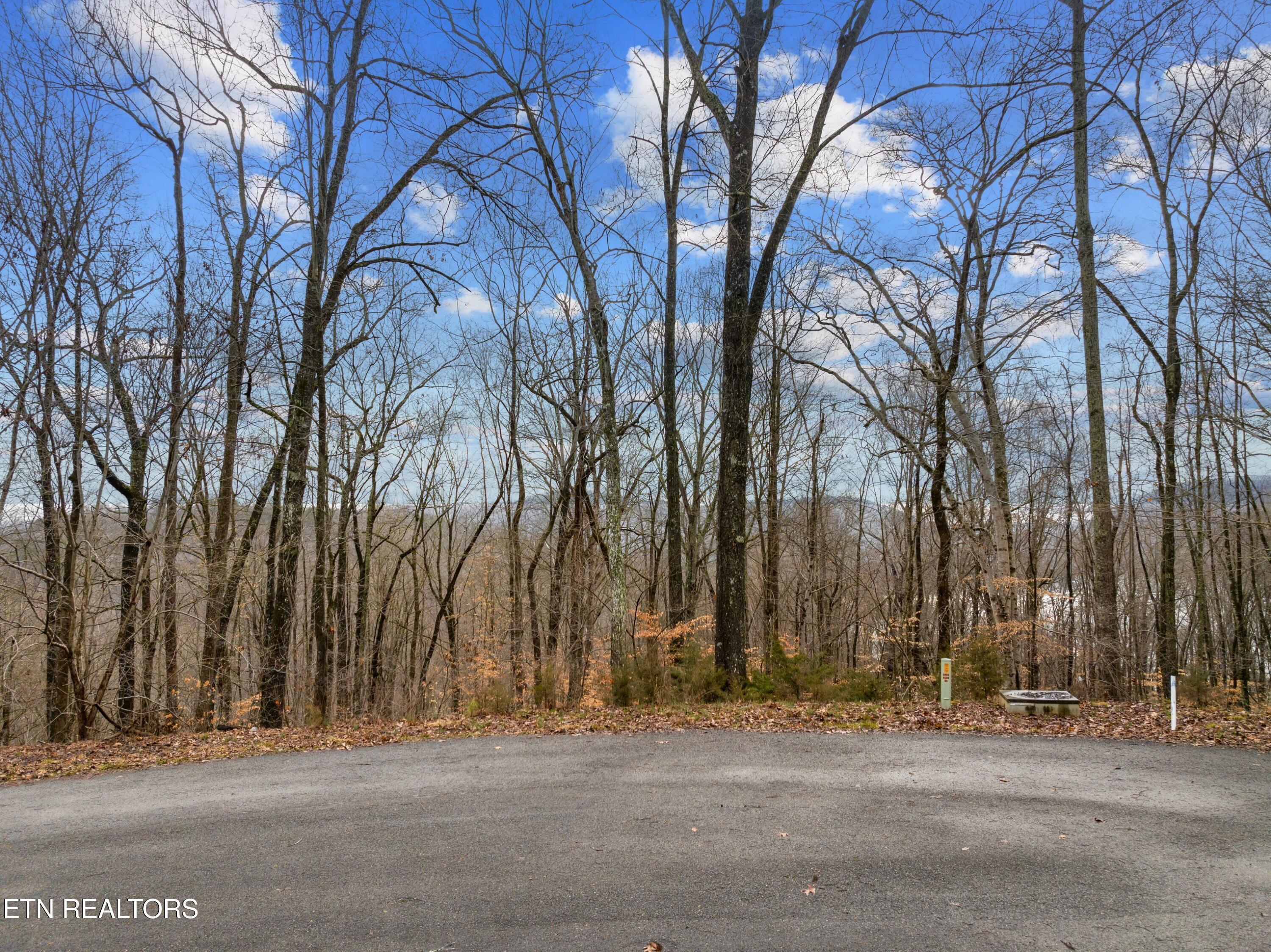 Norris Lake Real Estate - Image# 8