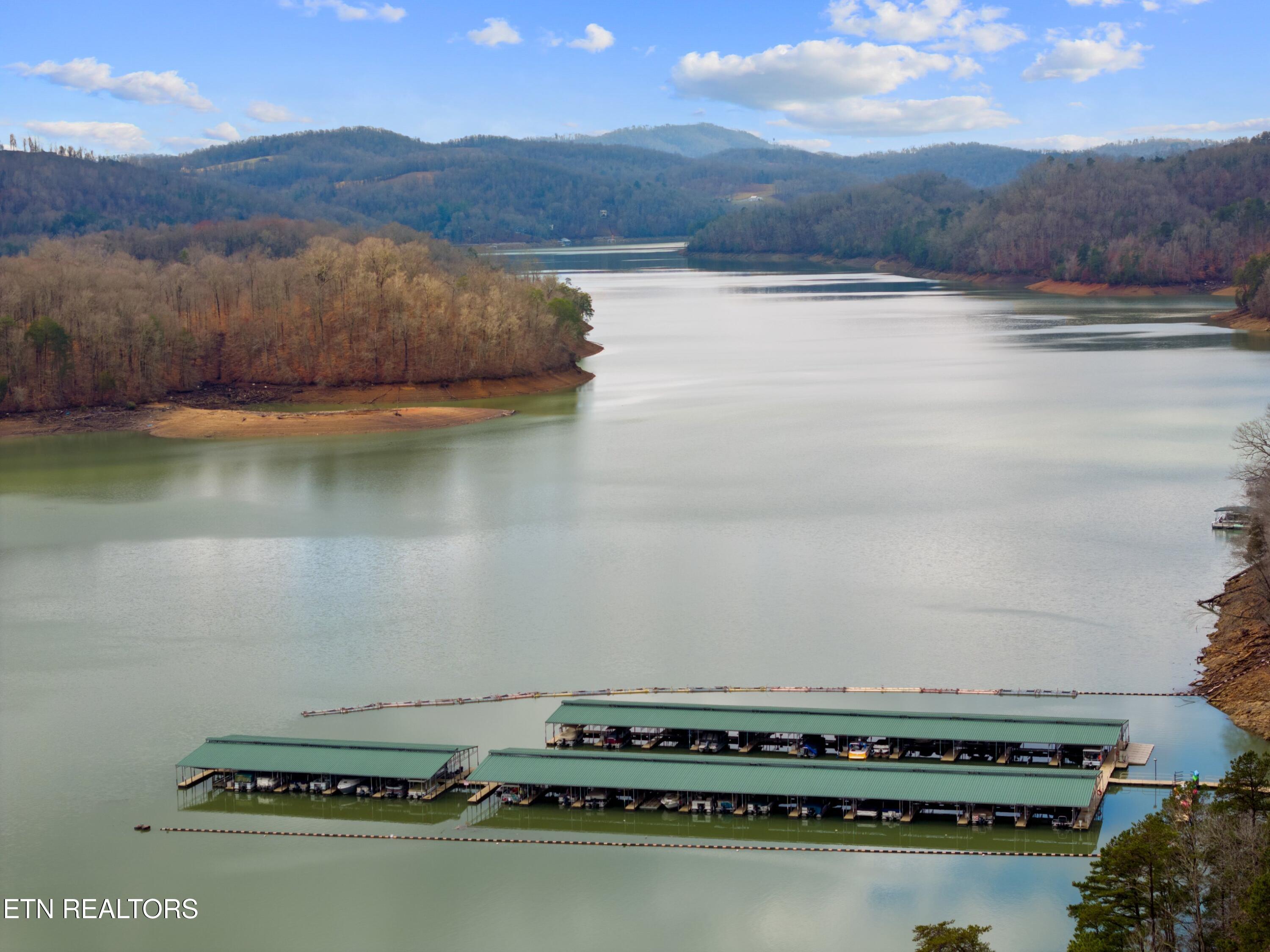 Norris Lake Real Estate - Image# 9