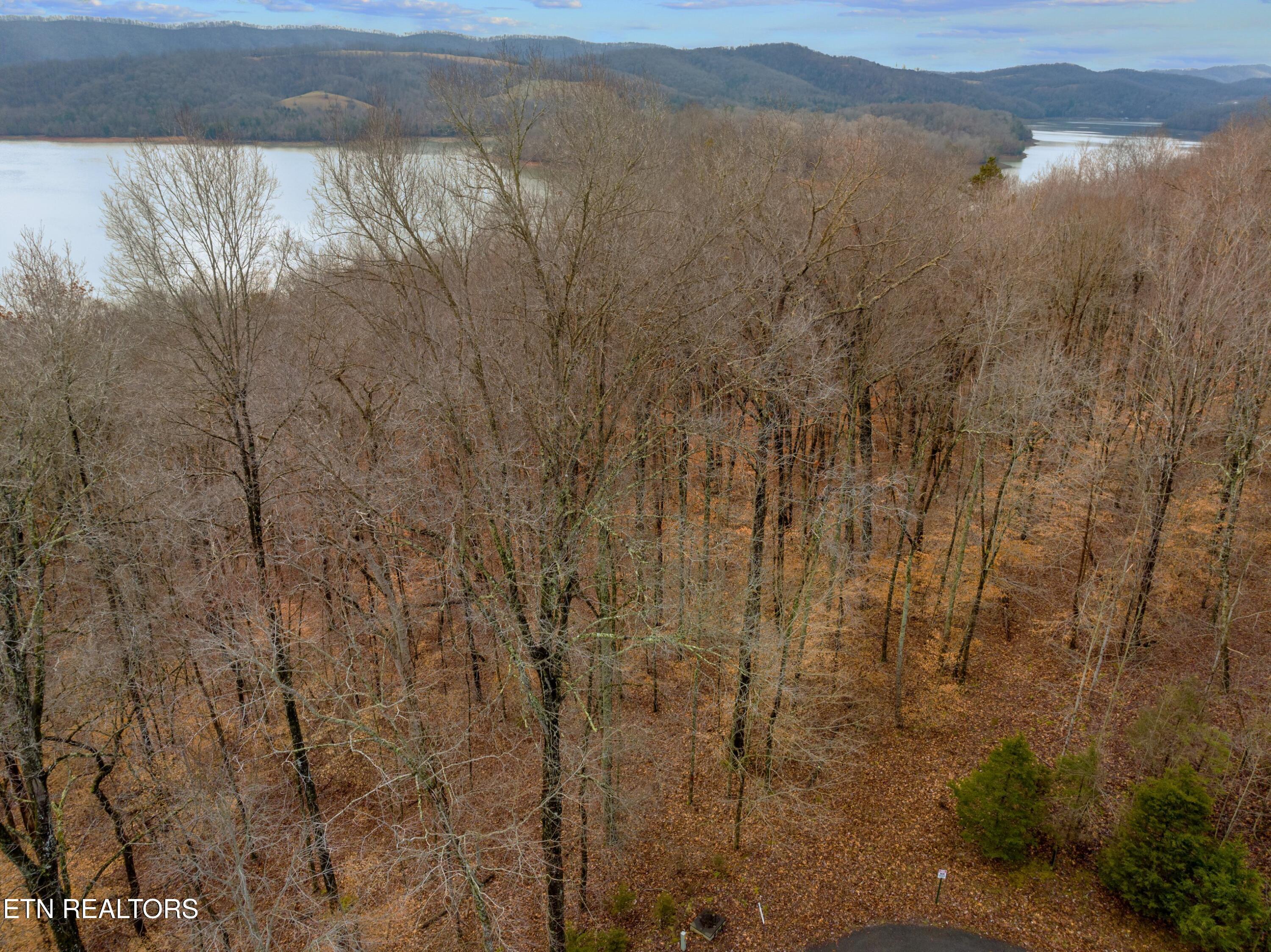 Norris Lake Real Estate - Image# 12