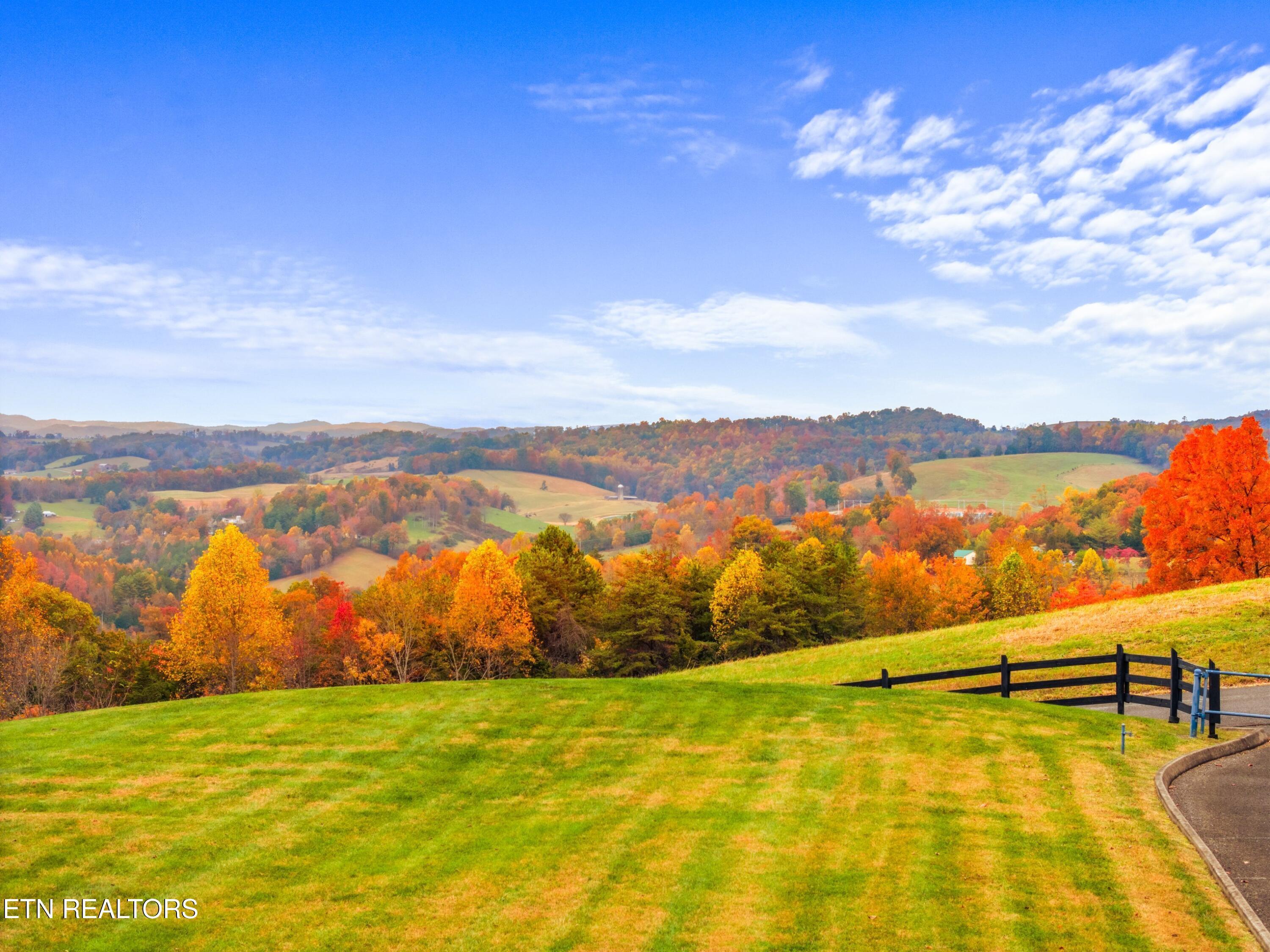 Norris Lake Real Estate - Image# 32